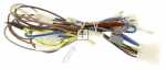 Harness - 00618080 Cable Harness [Bosch Siemens]