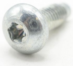 Screw - C00283996 C00283996 Hinge Door Bowl Ecoprime M5x13 T20 [Whirlpool Indesit]