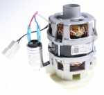 Circulating Motor - Yxw50-2f-2(l) 49116216 Motopompa [Candy Hoover]